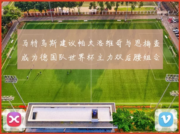 马特乌斯建议帕夫洛维奇与恩梅查成为德国队世界杯主力双后腰组合