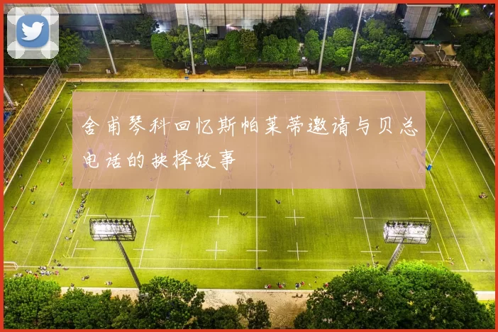 舍甫琴科回忆斯帕莱蒂邀请与贝总电话的抉择故事