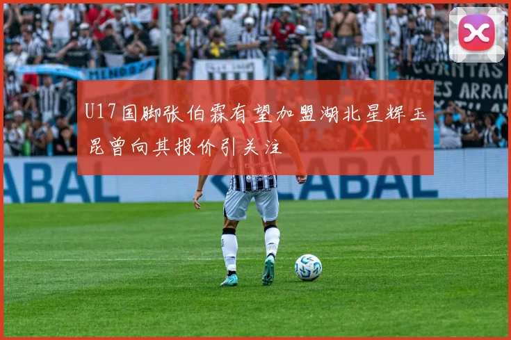 U17国脚张伯霖有望加盟湖北星辉玉昆曾向其报价引关注
