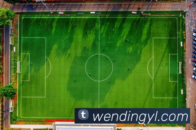 问鼎娱乐平台生态图