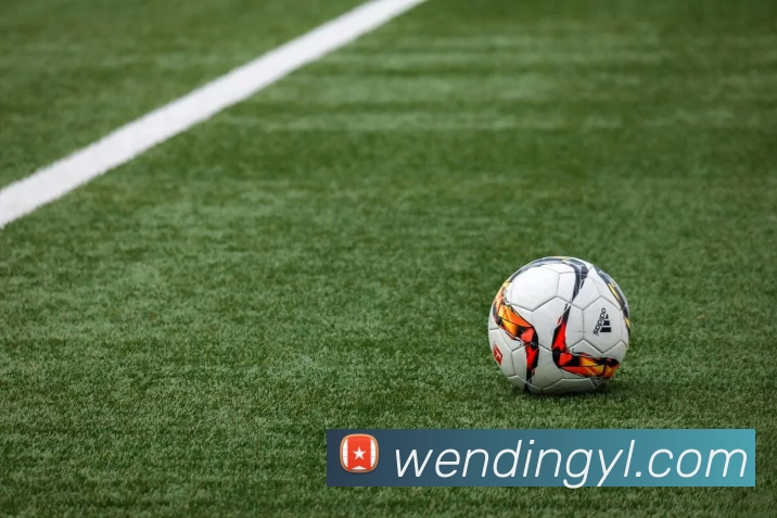 问鼎娱乐APP 封面图